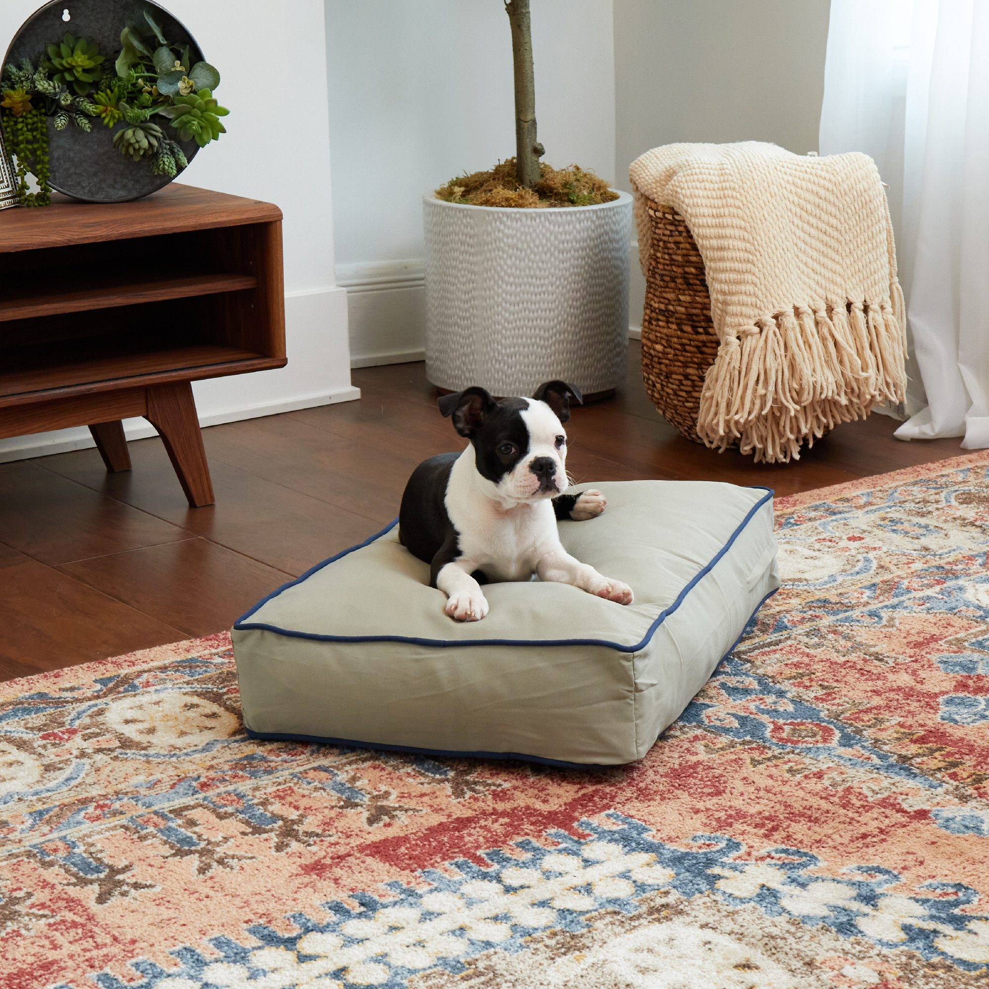 Happy Hounds Casey Indoor/Outdoor Pillow Style Dog Bed, Greystone, Extra Small (24 x 18 in.)