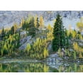 thumbnail image 2 of Wild, Jamie and Judy 14x12 Gold Ornate Wood Framed with Double Matting Museum Art Print Titled - Washington State-North Cascades-Alpine Pond with Larch and Fir trees, 2 of 4