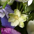 thumbnail image 4 of 22" Tulip Flowers Wreath, 4 of 4