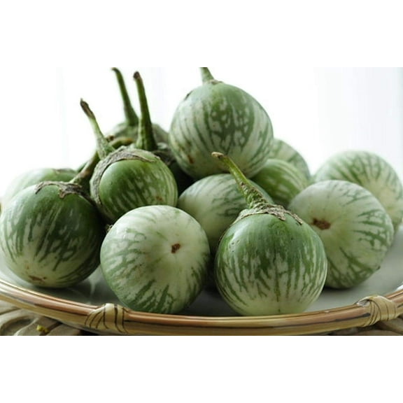 Thai Round Green Eggplant Seeds (50 Seed Pack)