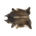 thumbnail image 1 of Natural Kobe Cowhide Neutral Color Rug | 5'x7' | B, 1 of 2
