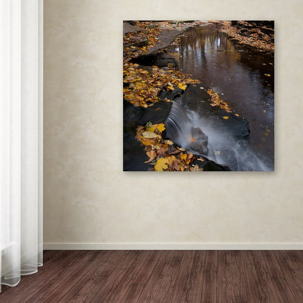 Trademark Fine Art "Lakeview Autumn Waterfall #2" Canvas Art by Kurt Shaffer