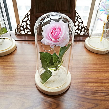 

Follure Novelty Lighting Romantic Immortal Flower Micro Landscape Rose Simulation Glass Shade Led Llight Must have kitchen gadgets 2022 class Hot Pink Home kitchen