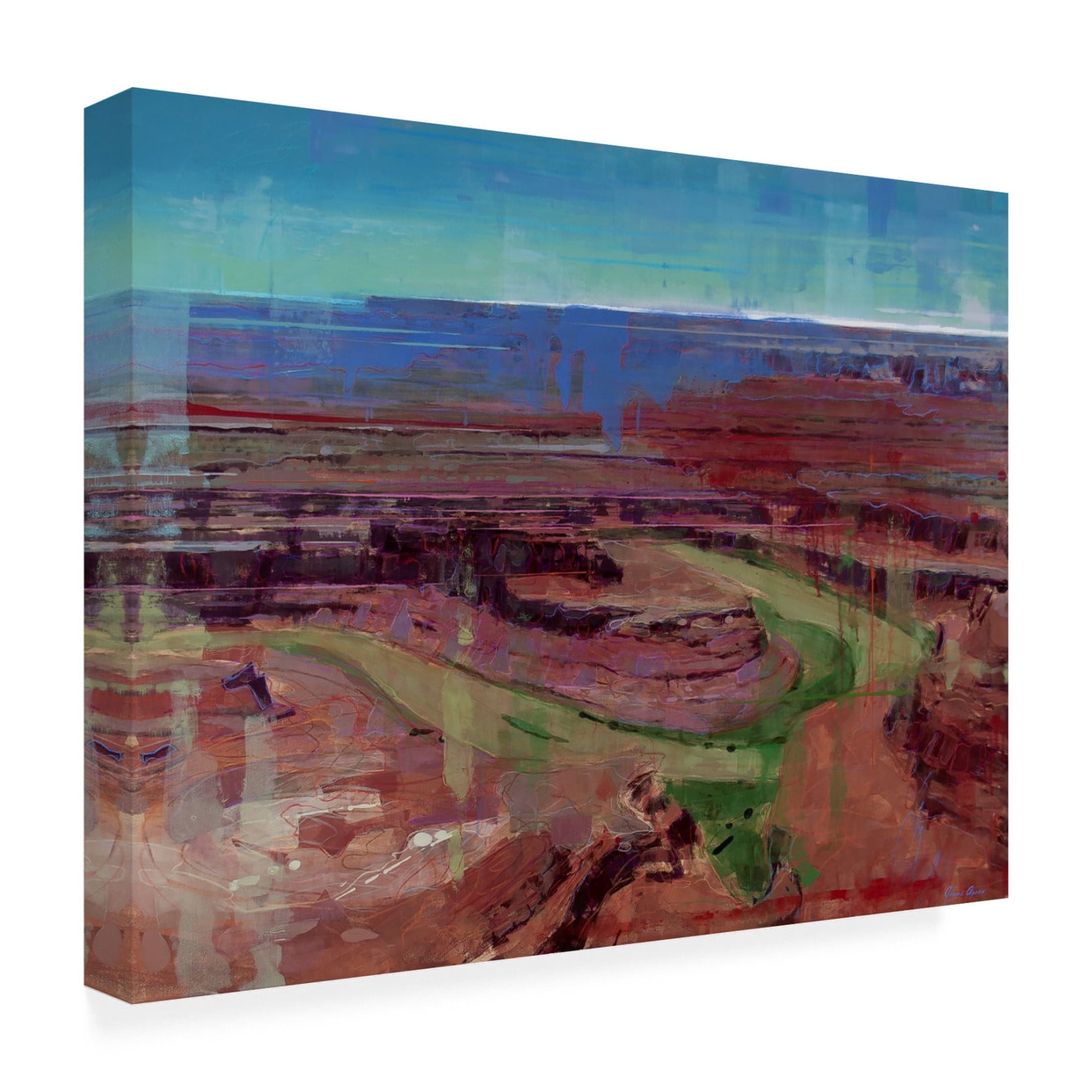 Trademark Fine Art James Ayers Spectacle of the Flow Canvas Wall Art