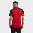 thumbnail image 4 of adidas Beligium Home Men's Soccer Jersey World Cup 2022 (L) Red/Black, 4 of 8
