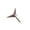 A001- A, variant on Stainless Steel Caltrops Stakes, 1 Inch Four Point Caltrops, Hunting Accessories Outdoor Accessories for Target Practice, Pack of 30
