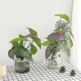 thumbnail image 2 of 2 uds hojas verdes artificiales hojas de plantas artificiales plantas de hojas verdes tropicales con 44cm de alto Fo, 2 of 5