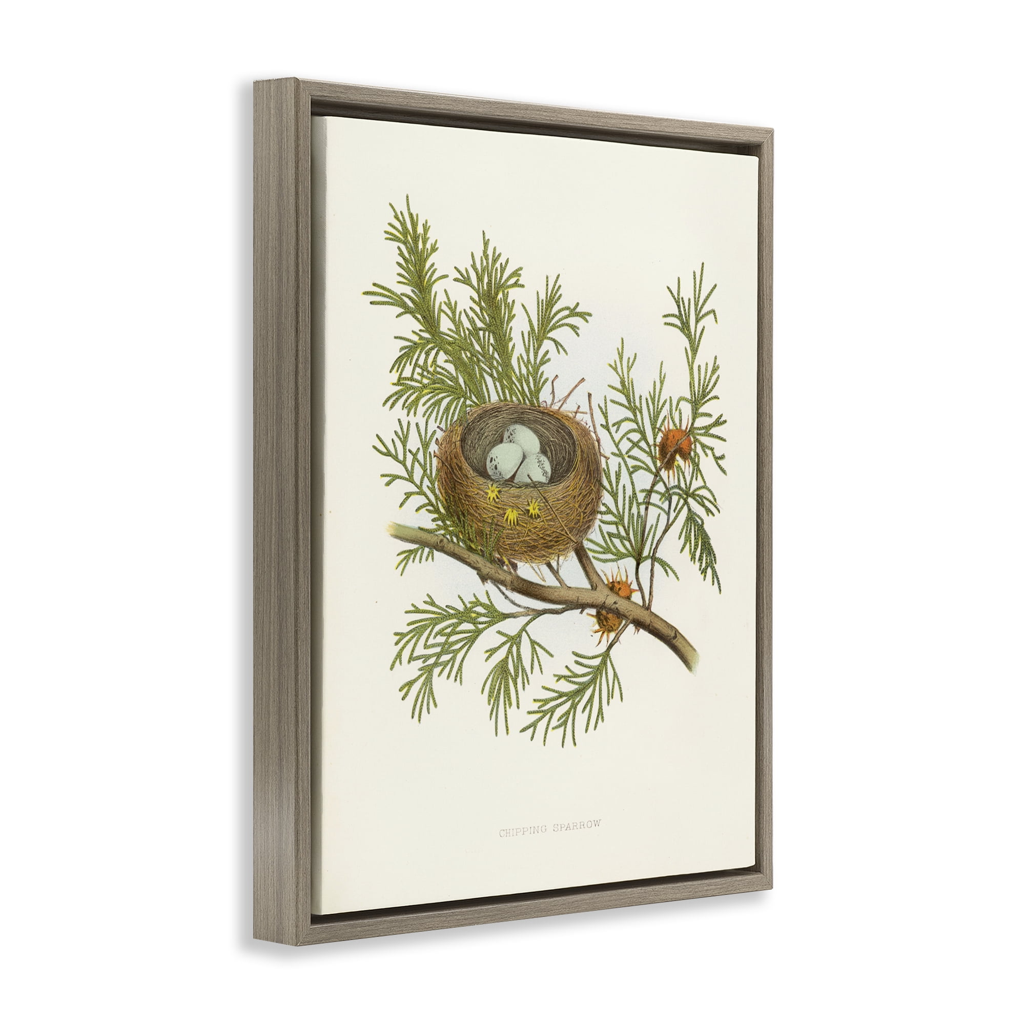Stupell Industries Forest Bird Nest on Branch Plants & Flowers Painting Brown Floater Framed Canvas Art Print Wall Art, 25 x 31