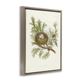 thumbnail image 3 of Stupell Industries Cottage Forest Bird Nest on Branch Brown Floating Frame Canvas Art, 25 x 31, by Tina Higgins Designs Inc., 3 of 8