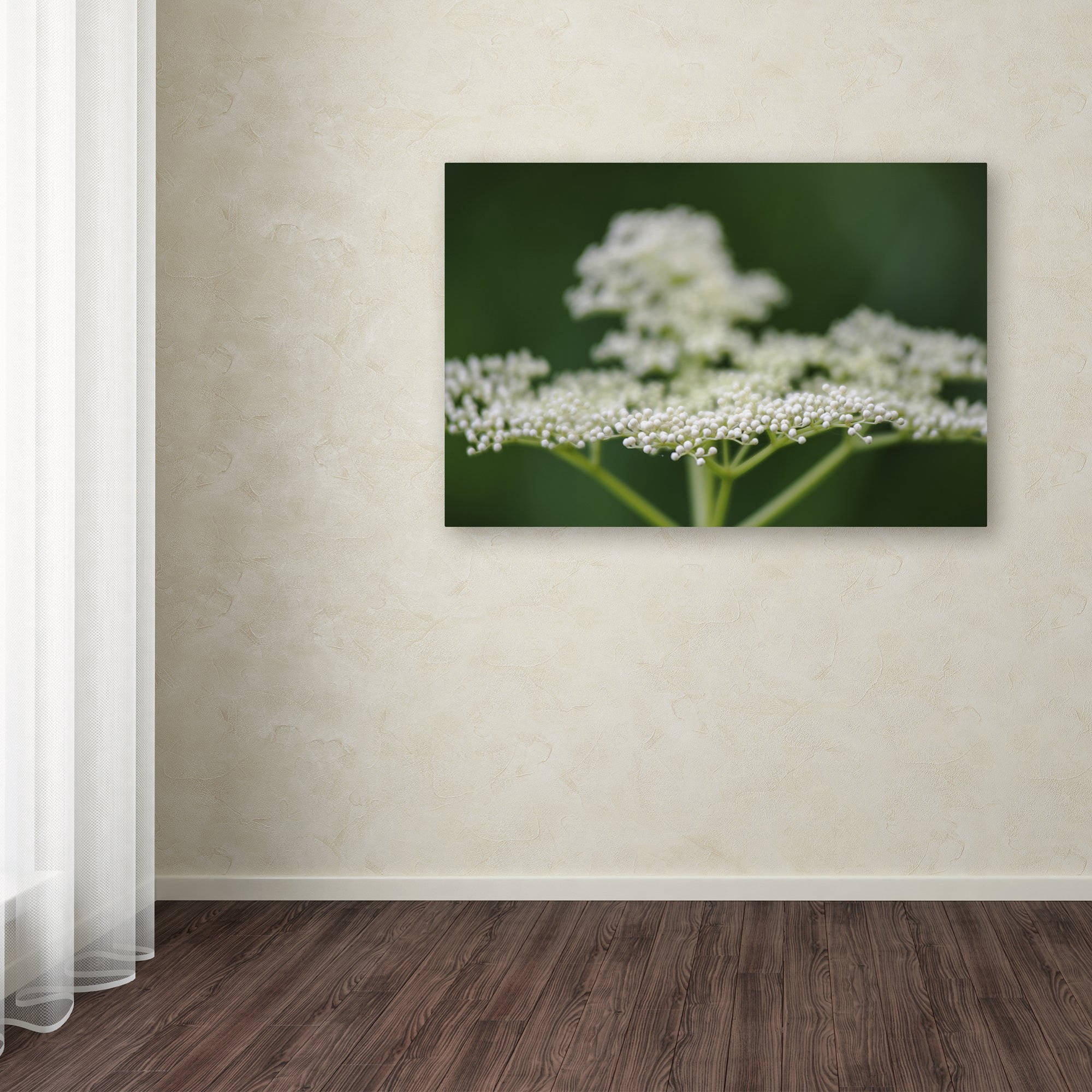 Trademark Fine Art "Nature is Amazing" Canvas Art by Kurt Shaffer