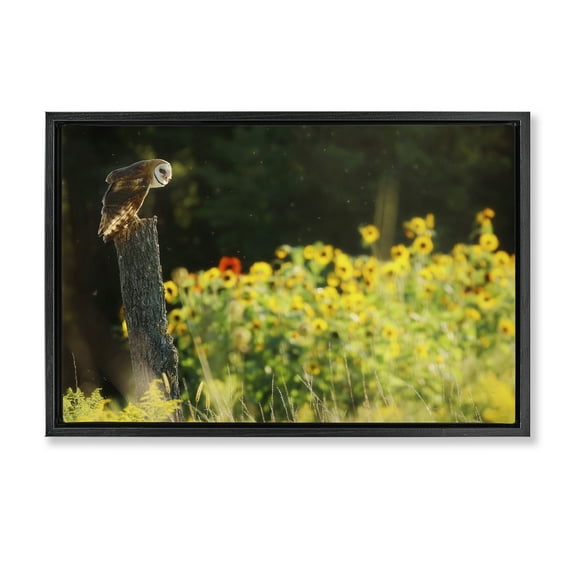 Stupell Industries Owl Perched in Meadow Landscape Photography Black Floater Framed Canvas Art Print Wall Art, 25 x 17