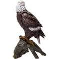 thumbnail image 2 of Ebros Gift American Eald Eagle Perching on Tree Branch Resin Figurine Statue, 2 of 5