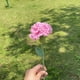 thumbnail image 5 of flor de ganchillo,flor artificial clavel cumpleaños, día de san valentín boda aniversario cumpleaños fecha única Adepaton BST3008022-2, 5 of 6