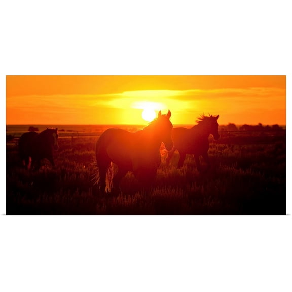 Great BIG Canvas | Rolled Dan Ballard Poster Print entitled Run