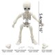 thumbnail image 3 of Nuevo extraño y divertido esqueleto móvil modelo humano esqueleto de cuerpo completo minimuñeco de juguete Wmkox8yii HAHFKSH1625, 3 of 6