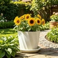 thumbnail image 1 of Aufmer Minimalist Twill Texture Round Breathable Plastic Flower Pot Root Control Design Good Air Permeability For Home Indoor Green Plant Succulent Plant Cultivation, 1 of 7