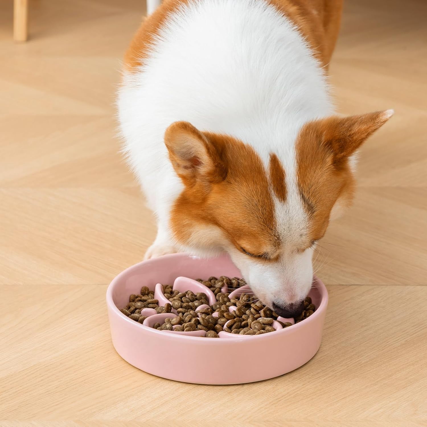 Ceramic Slow Feeder Dog Bowls, Puzzle Dog Food Bowls with Floral Maze, Anti -Slip Pet Food Dish for Medium Breed, 1.5 Cups, Pink.Product promotion event