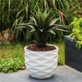 thumbnail image 4 of Afuera Living 11.6" Round Planter with Waves Design in White, 4 of 6