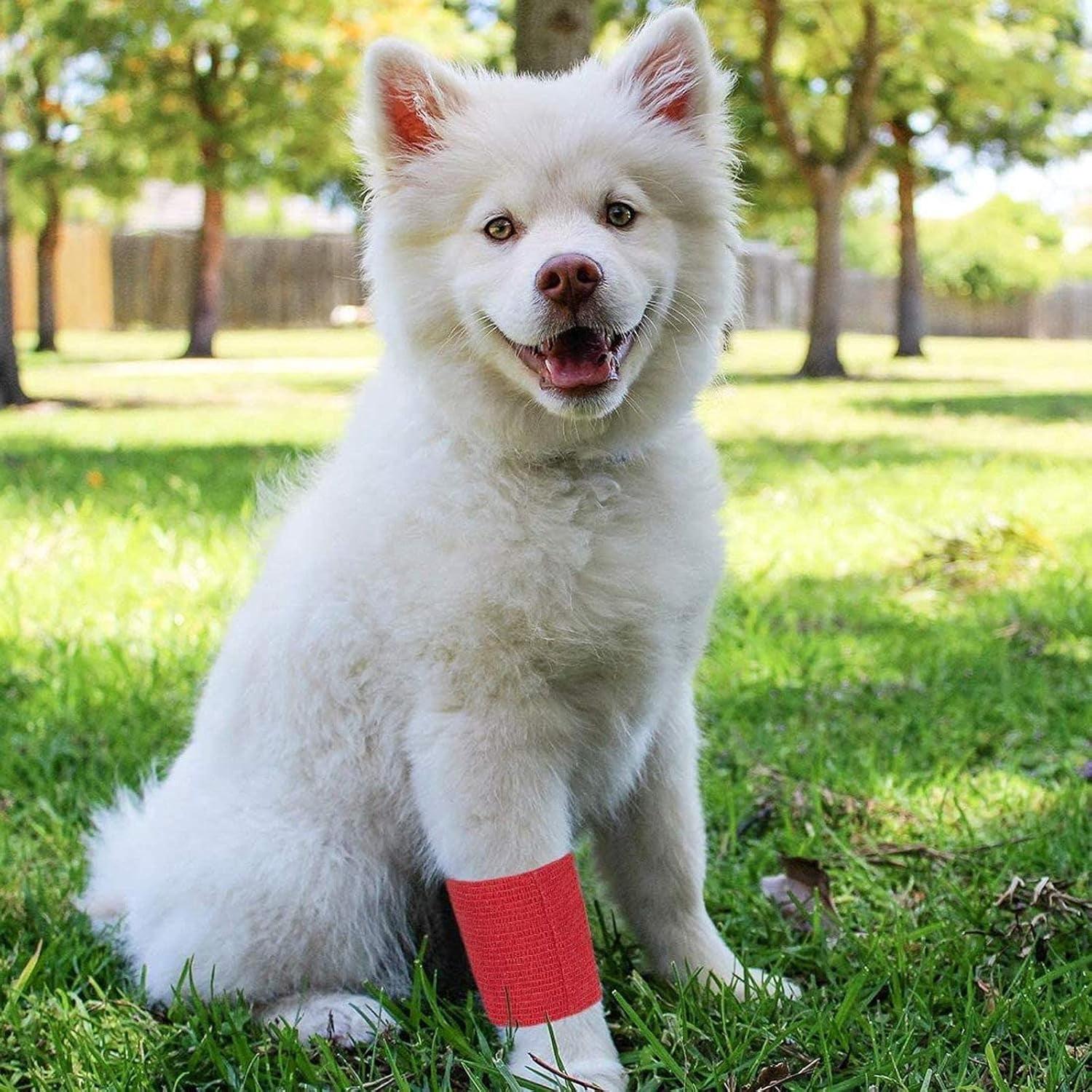 PINHEN 24 Rolls Colorful Self Adhesive Bandage Wrap 3 Inch x 5 Yards - Cohesive First Aid Tape for Sports, Vet, Medical, Tattoo (12 Colors)
