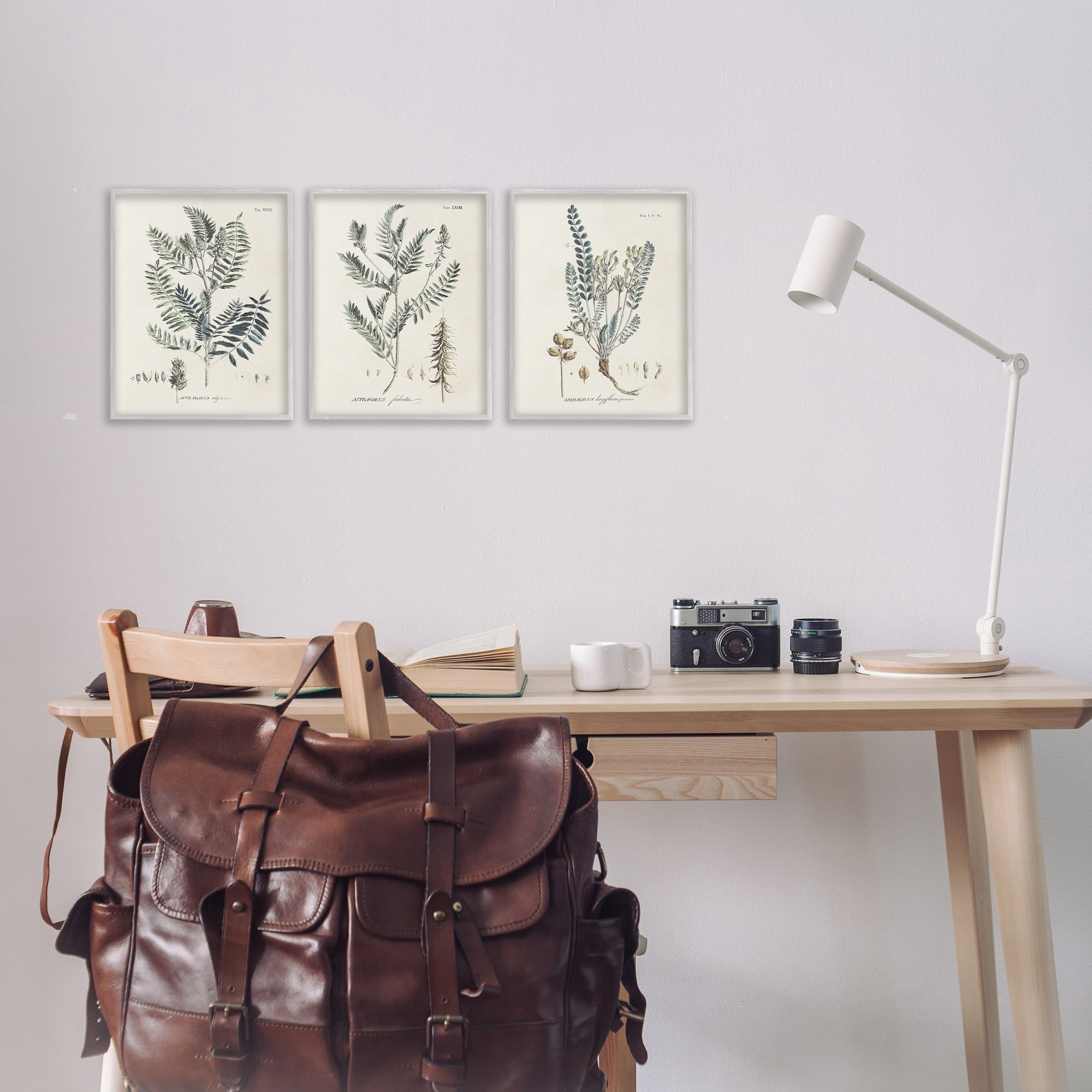 Stupell Industries Woodland Plant Studies Botanical & Floral Painting Gray Framed Art Print Wall Art, 11 x 14, Set of 3