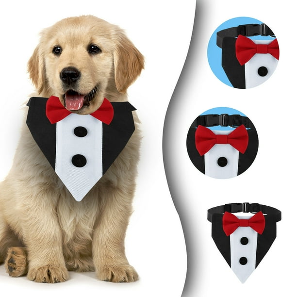Gifts for large dogs sales