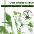 thumbnail image 5 of Clips Fijación para Pared Escalada Plantas Clip Fijación Invisible Autoadhesivo (M), 5 of 5