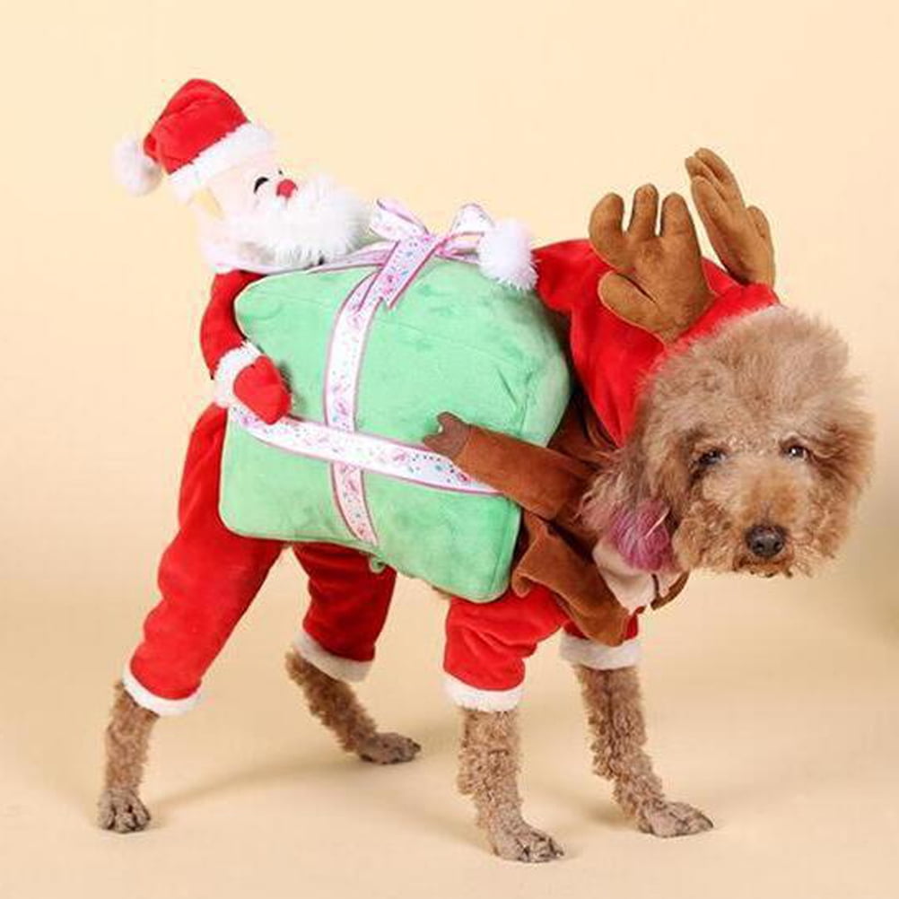 Funny Dog Costume Carrying Present