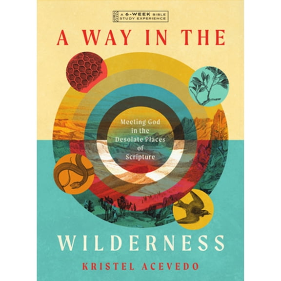 Pre-Owned A Way in the Wilderness: Meeting God in the Desolate Places of Scripture--A 6-Week Bible Study with Video Access (Paperback) 1514009285 9781514009284