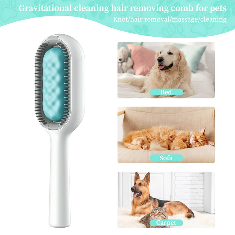 Pet Hair Remover Comb Practical Pet Facial Cleaning Brush for Small Dogs  Teddy
