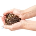 thumbnail image 4 of ⭐ Premium Jade Plant Potting Soil Mix - (2 Quart Bag), 4 of 5