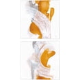 thumbnail image 1 of Great Art Now Amber Wash by Chris Paschke 2 Piece Canvas Art Set Each 14"W x 14"H, 1 of 3