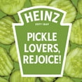 thumbnail image 2 of Heinz Tomato Ketchup with Pickle Seasoning 13.5 oz Bottle (Pack of 2), 2 of 5