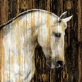 thumbnail image 2 of Rose, Martin 15x15 Gold Ornate Wood Framed with Double Matting Museum Art Print Titled - Horse II, 2 of 4