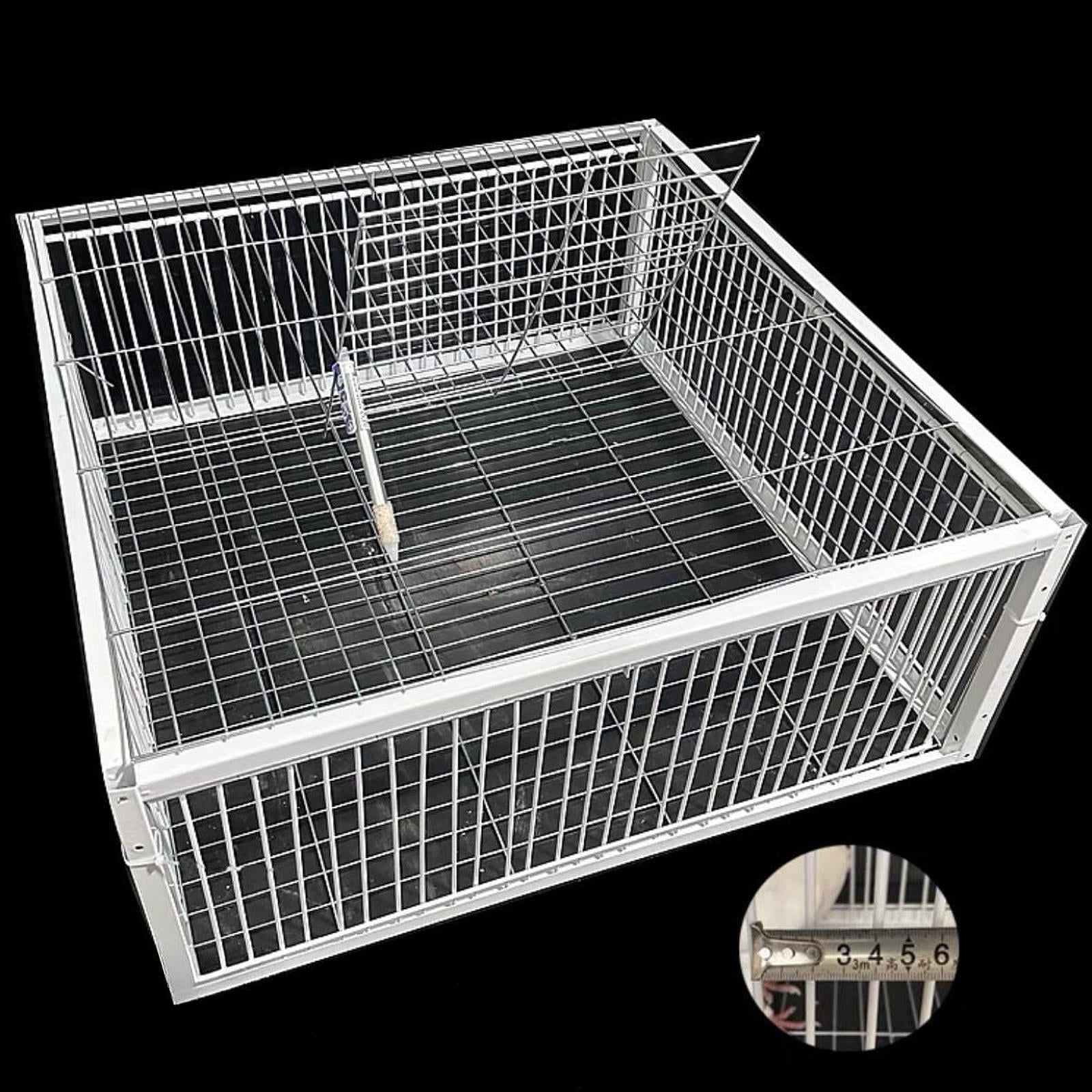 Serenable Tauben Cage, Automatic Pigeon Collector, Simple Assembly, Wire Cage, Thickened Animal Cage, Pigeon Stable for Chicken Garages, Orchard , 4 enter