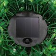 thumbnail image 4 of Lámpara De Bola De Hierba Solar Adorno De Iluminación De Fiesta Lámparas De Patio Trasero Adornos Diseño De Escena Topiary Light Hanging Adorn Para Home Bar No.1 Scienceny HA025660-01, 4 of 5