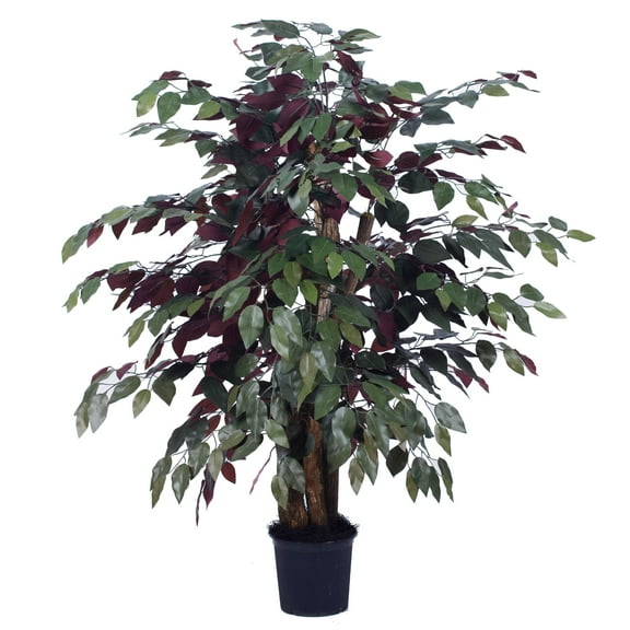 Vickerman 4' Artificial Capensia Extra Full Bush, Black Plastic Pot.
