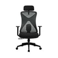 thumbnail image 1 of Silla Ejecutiva Acteck Floe Pro EC737 Ergonomica con Reposabrazos Negro AC-937238, 1 of 7