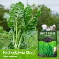 thumbnail image 2 of 2 Packs Fordhook Swiss Chard Seeds - Non-GMO Heirloom Full Sun Annual Vegetable, 2 of 6
