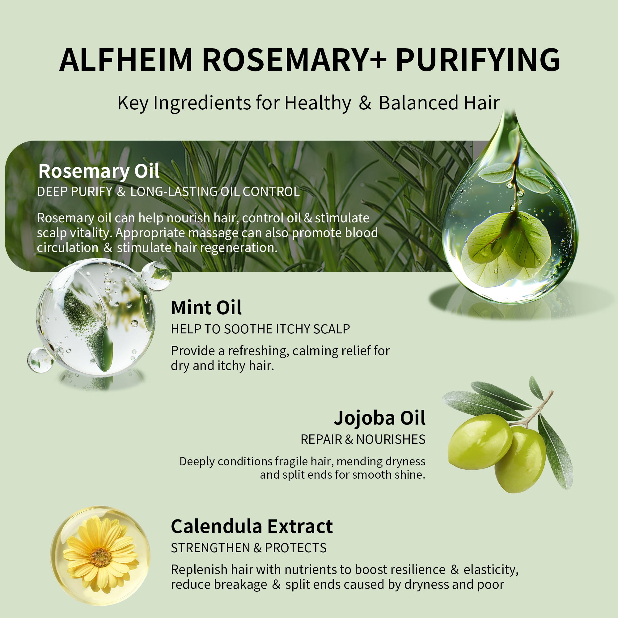 Alfheim Rosemary+ Complete Hair Care Set | Vegan 5-Step Scalp & Hair Ritual with Shampoo 10.7oz, Conditioner 10.7oz, Pre-Wash Oil, Leave-in Spray & Hair Mask