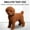 Brown, variant on Aqestyerly Children's Toys Simulated Teddy Dog Table Top Indoor Decoration Jewelry Automobile Teddy Decoration