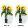 thumbnail image 2 of USA GEAR TrueSHOT Lighting, 2 of 9