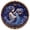 Aquarius 12 Zodiac Signs Pearl Art Kit#10, variant on 12 Zodiac Signs Pearl Art Kit, Beautiful Galaxy Pearl Art Craft Kit, Perfect Gift for Astrology Enthusiasts & Creative Home Decor Makers (Virgo)