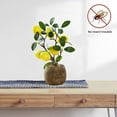thumbnail image 3 of Fruit bonsai simulation flower creative simulation green plant home decoration green plant potted plant - type:style2;, 3 of 5