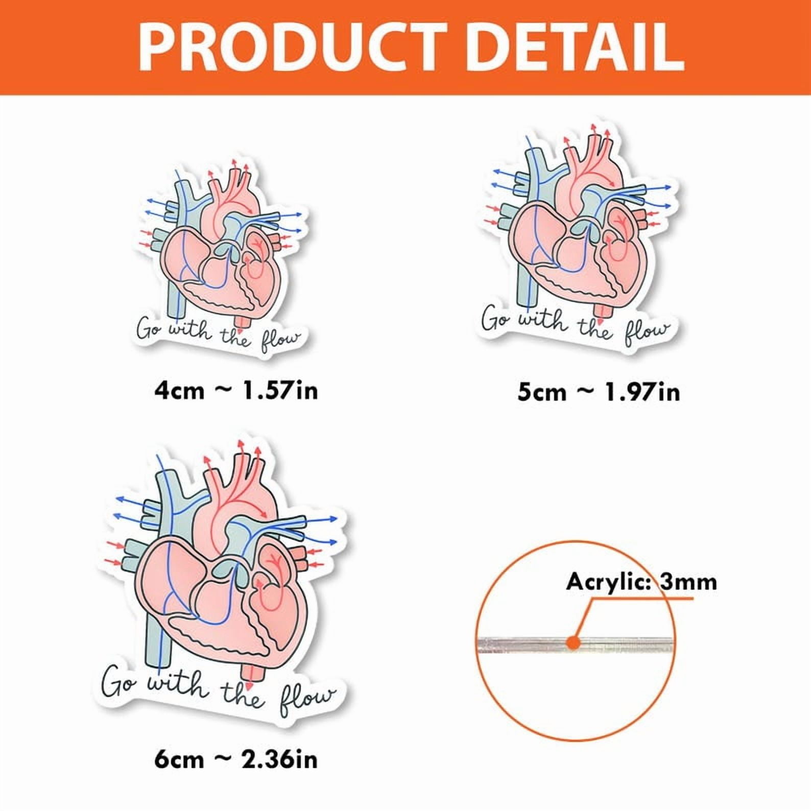 ViciArt Anatomical Heart Badge Reel, Acrylic Retractable ID Holder, Go With the Flow Clip