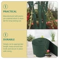 thumbnail image 4 of IFANLANDOR Tree Trunk Wrap Moisturizing Green Synthetic Material For Transplanting 1 Roll, 4 of 8