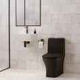 Sublime II OnePiece Round Toilet DualFlush 1.1/1.6 gpf in Matte Black
