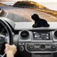 thumbnail image 2 of Decoración Para Coche Con Cabeza Bobble De Chihuahua Adornos De Perros Que Mueven La Cabeza Artesanía De Perros De Alta Emulación Para Amantes De Los Perros Para Coche, Vehículo, Escritorio, Mesa, J, 2 of 6