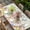 beige, variant on Easter Table Cloths for 5 Foot Rectangle Tables, Spring Rabbit Ear Eggs Floral Butterfly Wooden Patio Waterproof Elastic Fitted Tablecloths, Washable Rectangular Table Cover for Camping