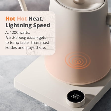 Electric Gooseneck Kettle, 1200W Stainless Steel with Precision Temperature Control, Fast Boil,  I for Pour Over Coffee and Tea,1L