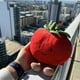 thumbnail image 3 of JELLYCAT-Muñeca de peluche de tomate divertida británica, muñeco de tomate, almohada para dormir, regalo para niñas, 3 of 5